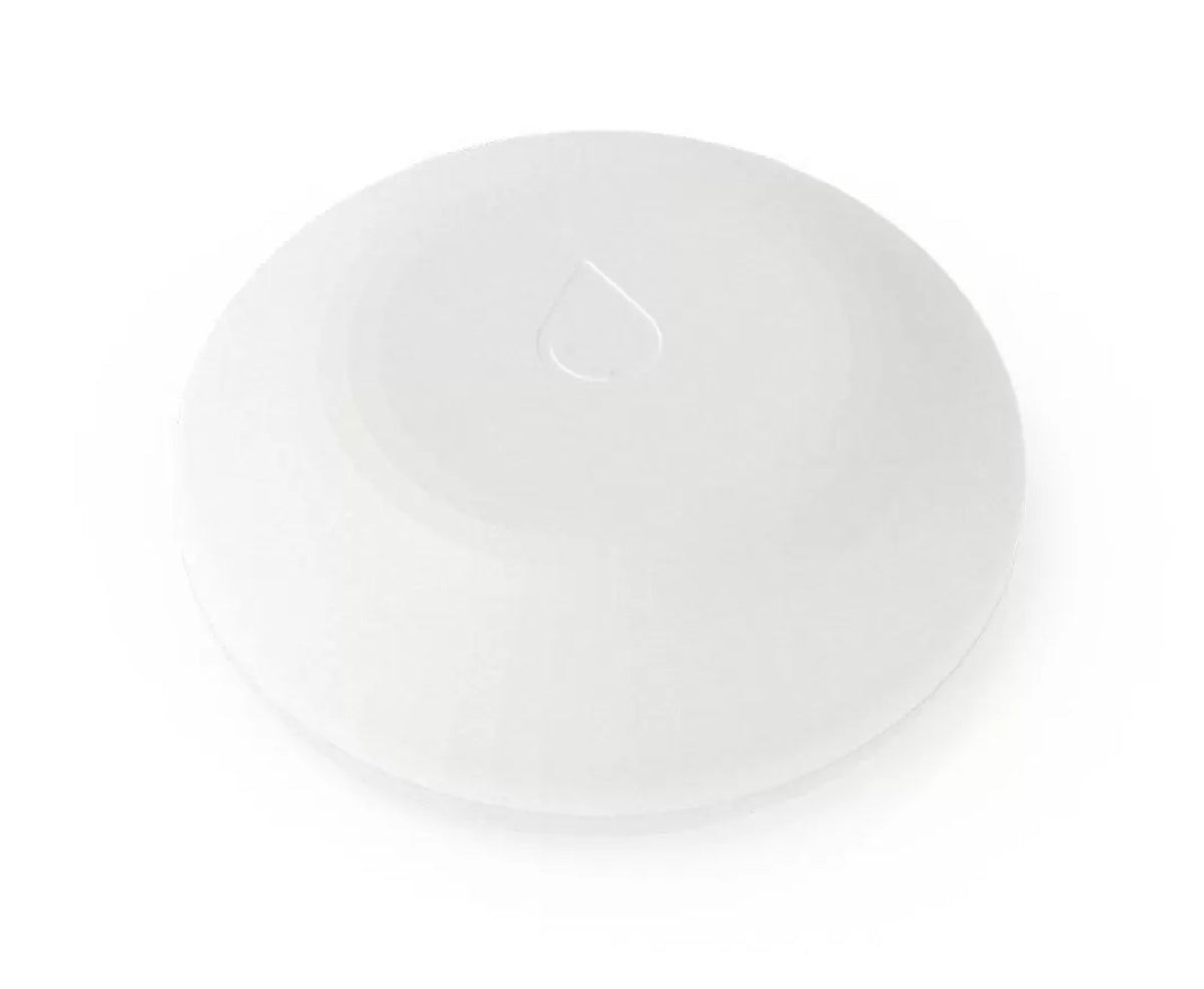 Water sensor sales google home